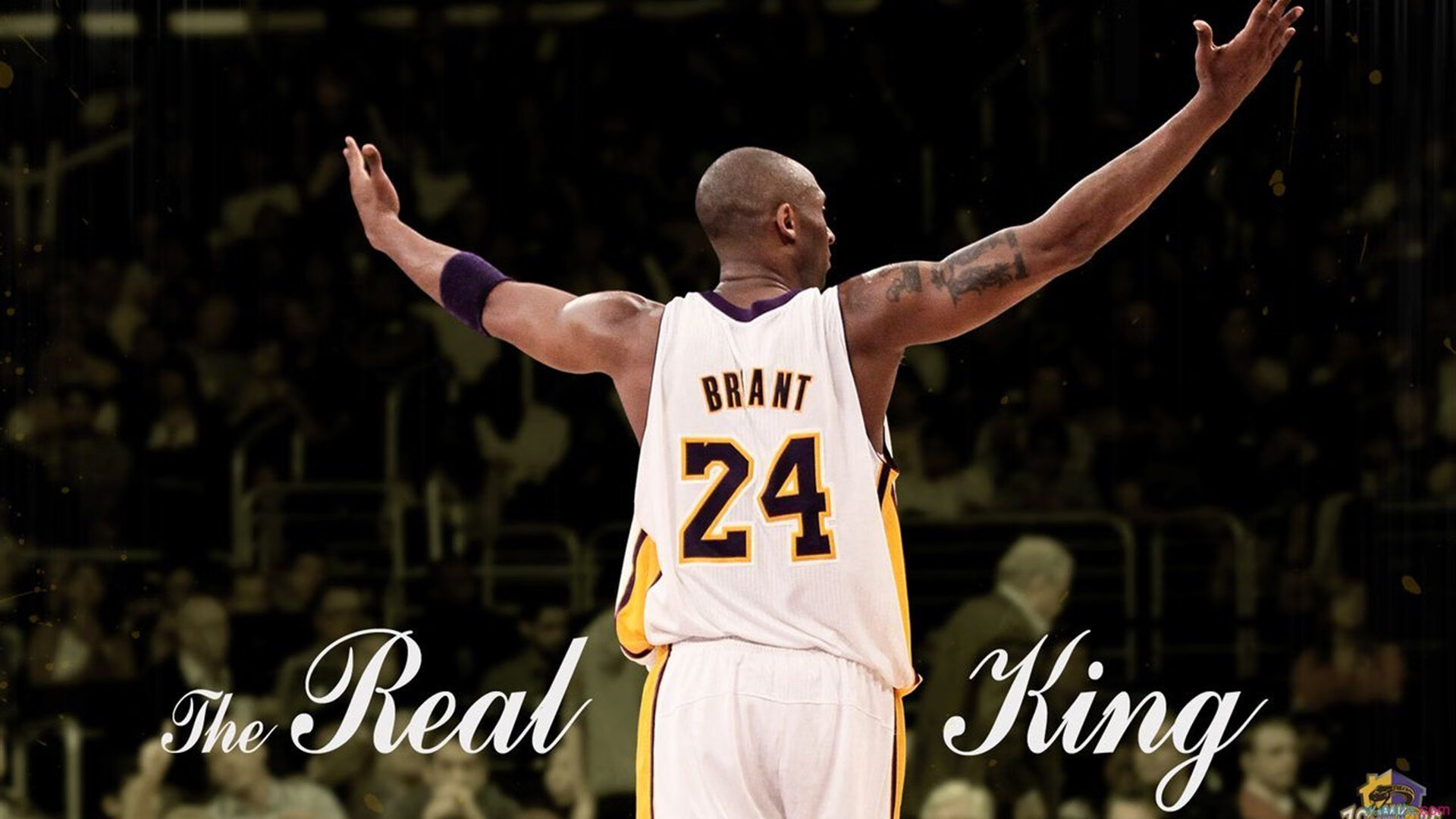 开云体育平台-青少年“篮动未来”创新课程在全国各高校落地推广